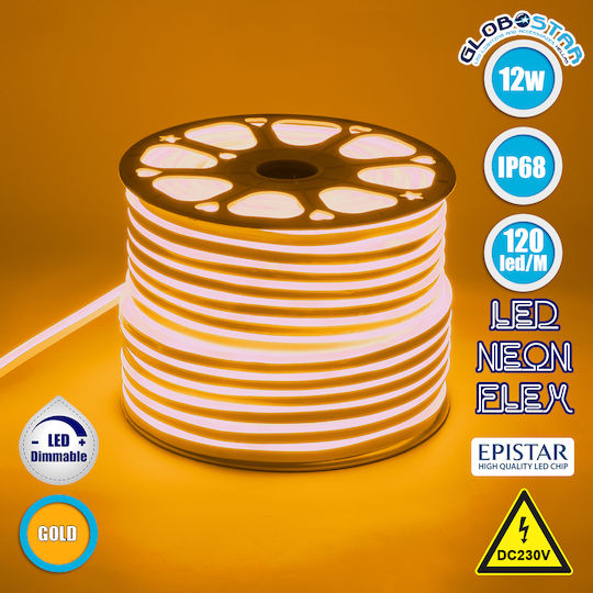 GloboStar Waterproof LED Strip 220V Warm White Light 1m Neon Flex