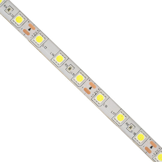 GloboStar Waterproof LED Strip 12V Cold White Light 5m Type SMD5050 with Power Supply & Remote Control