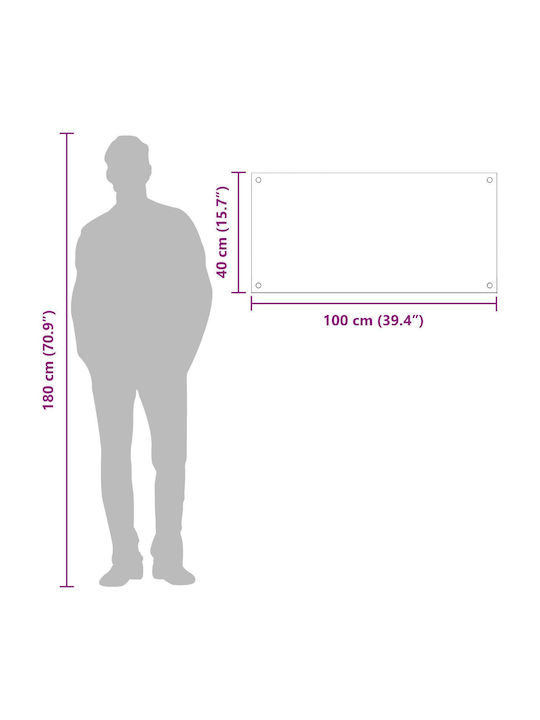 vidaXL Πλάτη από Γυαλί 100x40x0.6cm 42001247