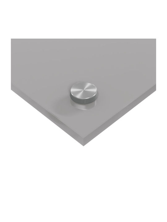 vidaXL Spătar Rectangular din Sticlă Gri Deschis 100x40x0.6cm 42001235