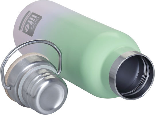 Ecolife Recyclable Bottle Thermos Stainless Steel / Plastic BPA Free 500ml Ice Cream
