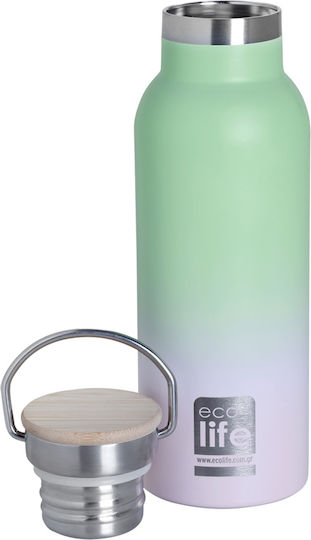 Ecolife Recyclable Bottle Thermos Stainless Steel / Plastic BPA Free 500ml Ice Cream