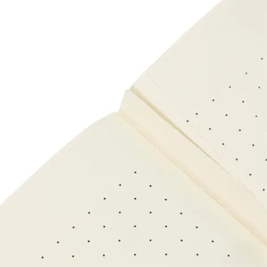 Paperblanks Notebook 80 Sheets A4 with Dots Multicolour