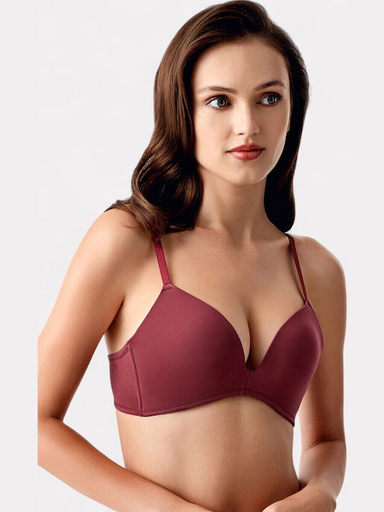 New Bra Lingerie New Bra Lingerie