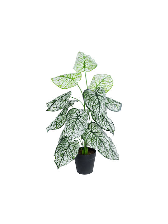 Globostar? Artificial Garden Caladium 20908 Διακοσμητικό Φυτό Καλάδια Υ75cm