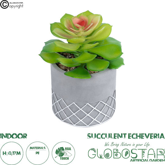 Globostar? Artificial Garden Succulent Sedeveria 21095 Διακοσμητικό Φυτό Παχύφυτο Σεντεβέρια Υ17cm