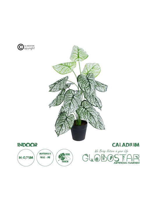 Globostar? Artificial Garden Caladium 20908 Διακοσμητικό Φυτό Καλάδια Υ75cm