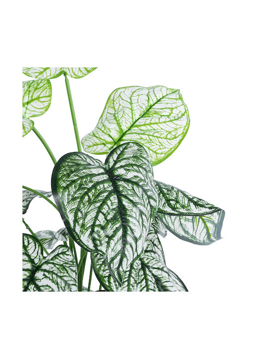 Globostar? Artificial Garden Caladium 20908 Διακοσμητικό Φυτό Καλάδια Υ75cm