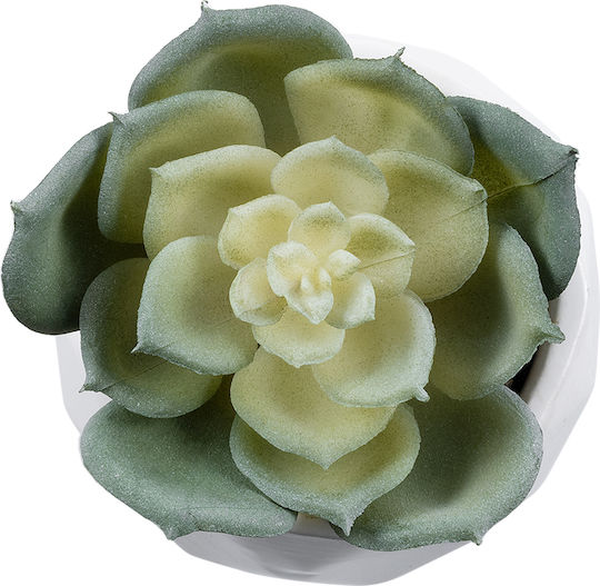 Globostar? Artificial Garden Succulent Echeveria 20980 Διακοσμητικό Φυτό Παχύφυτο Εχεβέρια Υ7.5cm