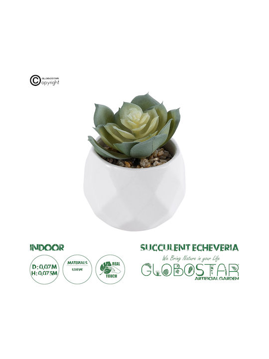 Изкуствена градинска сукулента Echeveria 20980 от Globostar - декоративна растителност, сукулента Echeveria с височина 7.5 см