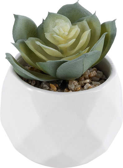 Globostar? Artificial Garden Succulent Echeveria 20980 Διακοσμητικό Φυτό Παχύφυτο Εχεβέρια Υ7.5cm