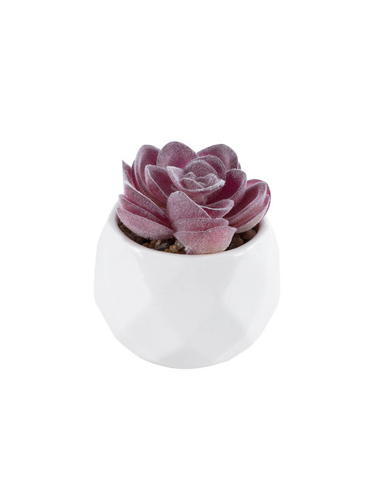 Artificial Plant in Small Pot Succulent Echeveria Purple 7.5cm GloboStar