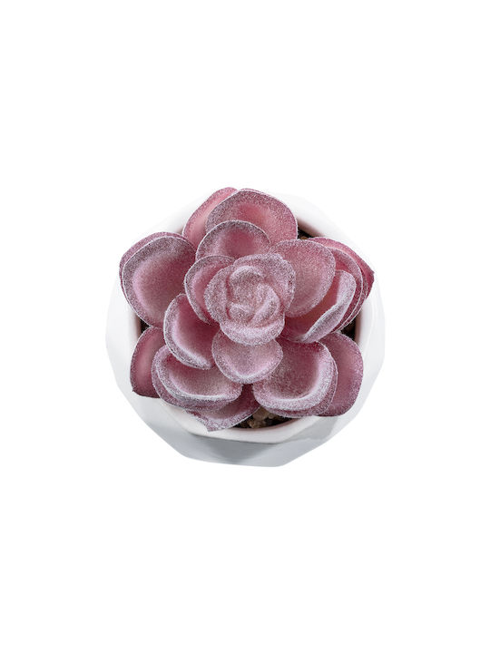 Artificial Plant in Small Pot Succulent Echeveria Purple 7.5cm GloboStar