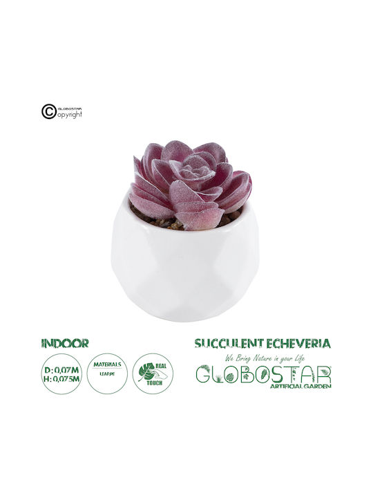 Artificial Plant in Small Pot Succulent Echeveria Purple 7.5cm GloboStar