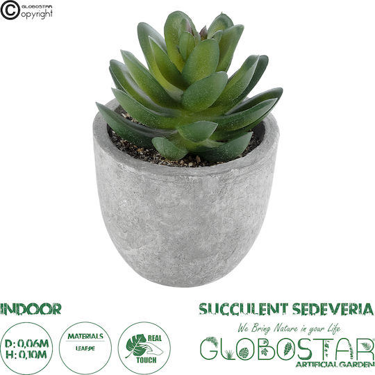 Globostar? Künstlicher Garten Sukkulent Sedeveria Dekorative dicke Sukkulentenpflanze Y10cm GloboStar