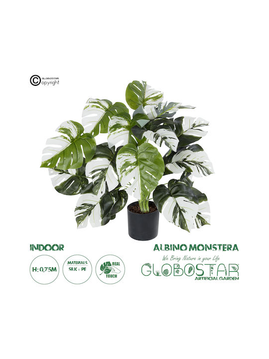 Globostar Artificial Garden Albino Monstera 20925 Decorative Plant White Monstera H75cm