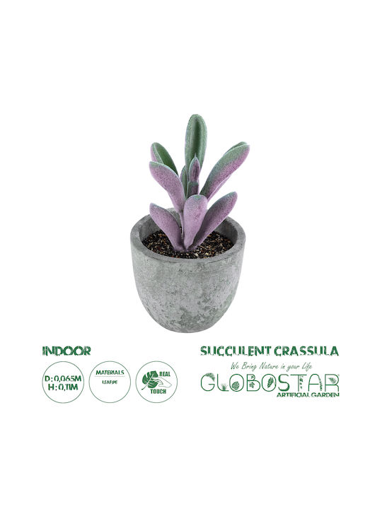 Artificial Plant in Small Pot Succulent Crassula Green 11cm GloboStar
