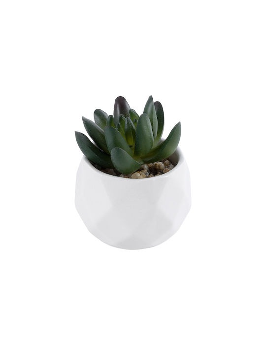 Globostar Artificial Garden Succulent Crassula 20979 Decorative Plant Succulent Crassula H9cm