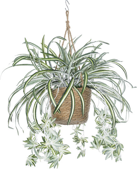 Globostar? Artificial Garden Chlorophytum Comosum Hanging Plant 20638 Τεχνητό Κρεμαστό Διακοσμητικό Χλωρόφυτο Y50cm