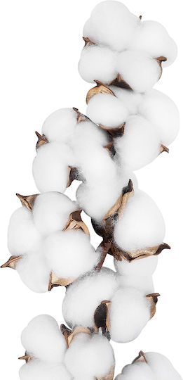 Artificial Decorative Branch White 55cm GloboStar