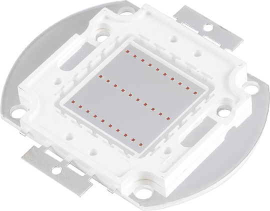 GloboStar LED 30W Rote 1Stück 73767