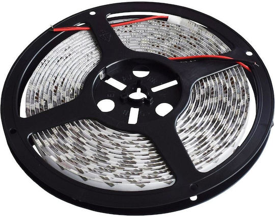 Rebel Αδιάβροχη Ταινία LED 12V Μπλε Φως 5m Τύπου SMD5050