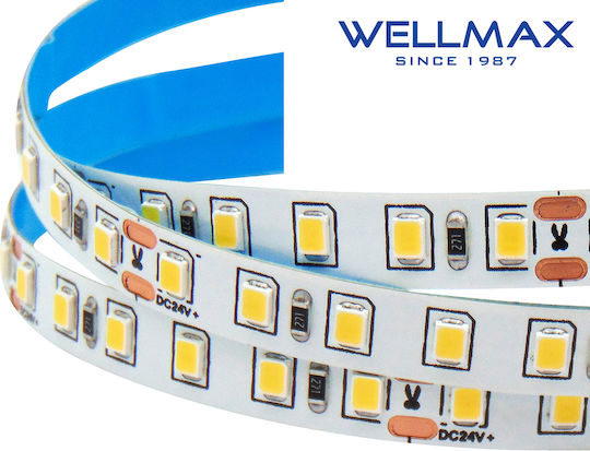 Wellmax LED-Streifen 24V Natürliches Weiß Licht 5m Typ SMD2835