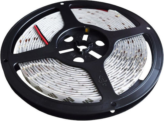 Rebel Αδιάβροχη Ταινία LED 12V Ψυχρό Λευκό Φως 5m