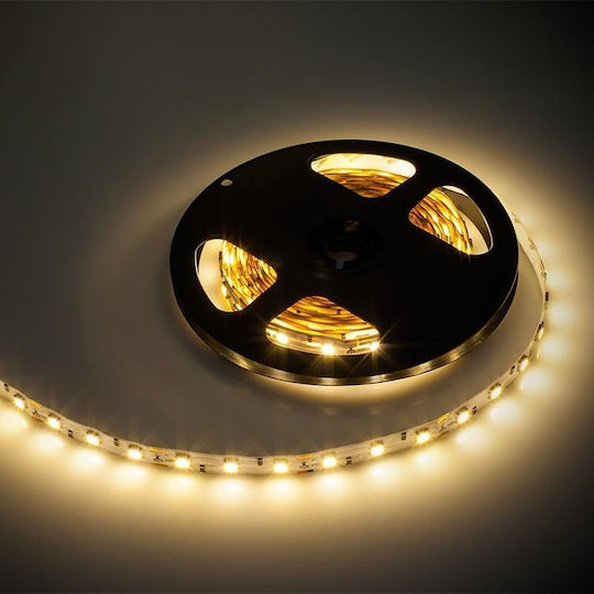 Rebel LED Лента Телевизия 12V Топло бяло Светлина 5м Тип SMD5050