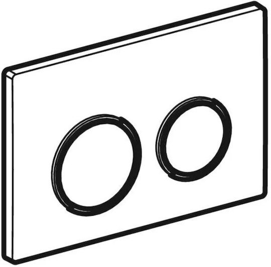 Geberit Omega 20 Flush Plate Dual Flush
