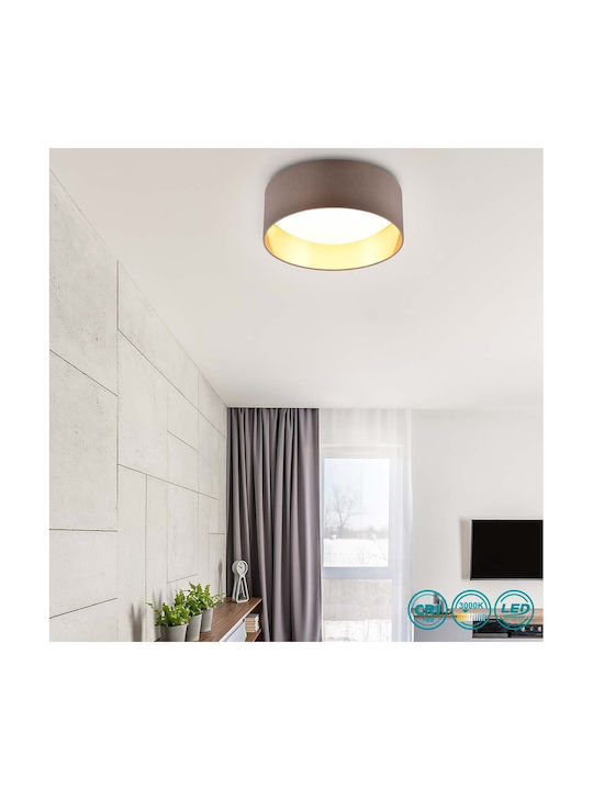 Trio Lighting Πλαφονιέρα Οροφής 30εκ. Καφέ με Ενσωματωμένο LED