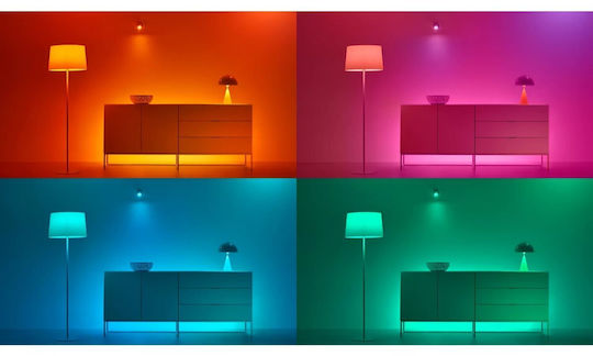 WiZ Smart Λάμπα LED 11W για Ντουί E27 και Σχήμα G95 RGB 1055lm