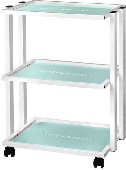 Aesthetic Rolling Assistant Type 1041 Giovanni