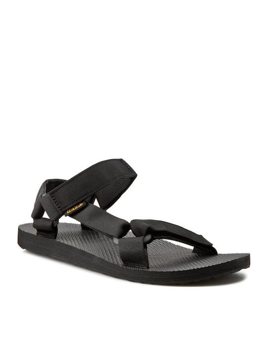 Teva