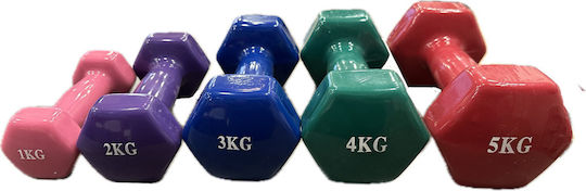 MDS Hexagon Vinyl Dumbbell 1 x 3kg