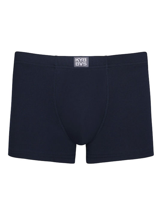 Herren Boxershorts Blue 2Packung