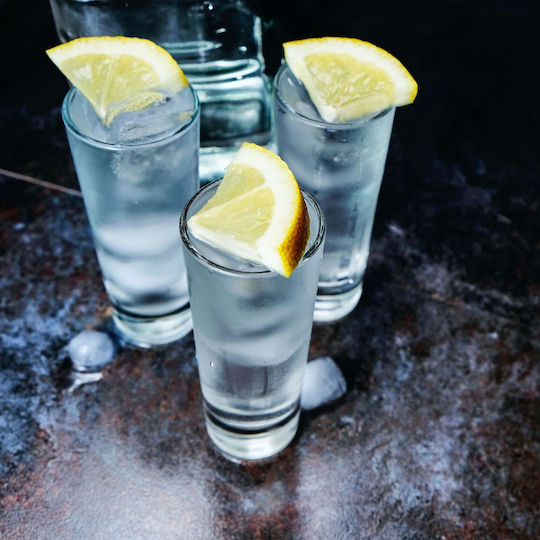 Relaxdays Pahare de shot din Sticlă 60ml 6buc
