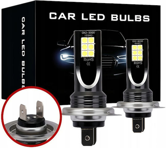 Interlook Λάμπες Αυτοκινήτου H7 Canbus LED 6500K Ψυχρό Λευκό 100W 2τμχ