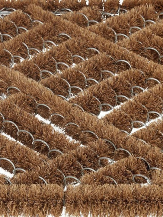 Relaxdays Covor de Intrare din Cocos cu Suport Antiderapant Maro 60x40buc Grosime 30mm