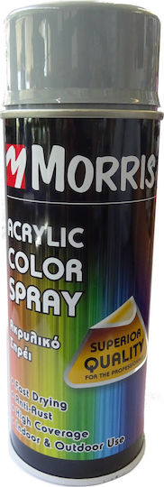 Benman Spray Farbe Acrylic mit Glänzend Effekt Verkehr Grau B RAL 7043 400ml
