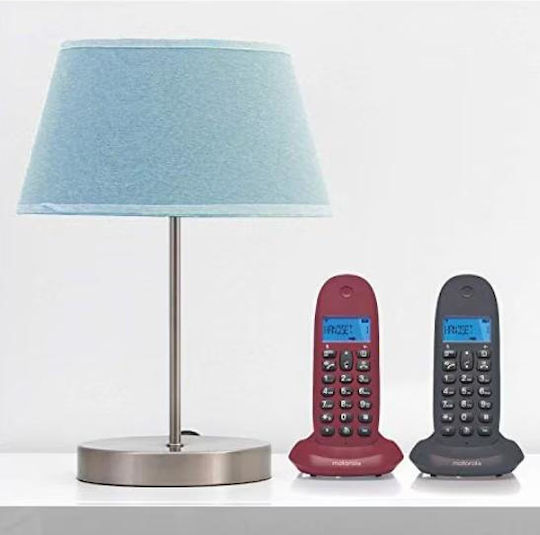 Motorola C1002L Schnurlostelefon Duo Gray/Red