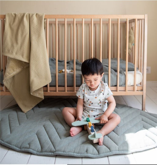 Trixie Push Along Airplane with Animals made of Wood for 18++ Months