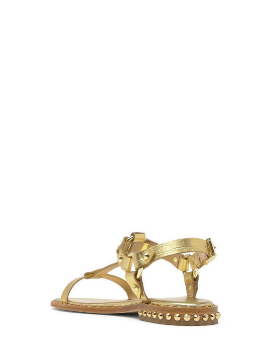 Combo Leather Women's Flat Sandals in Gold Color
