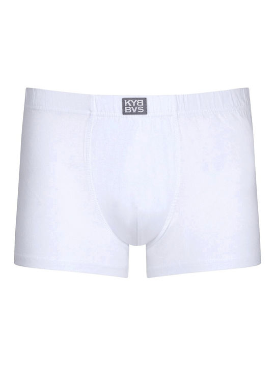 Kybbvs Kybbvs