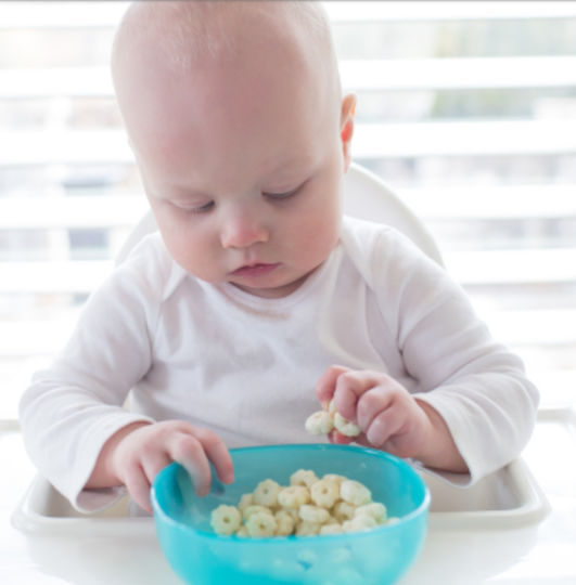 Dr. Brown's Baby Food Bowl Multicolour 2pcs TF021