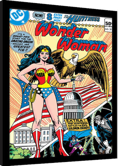 Pyramid International Dc Comics Wonder Woman (eagle) Κάδρο Ξύλινο 30x40cm