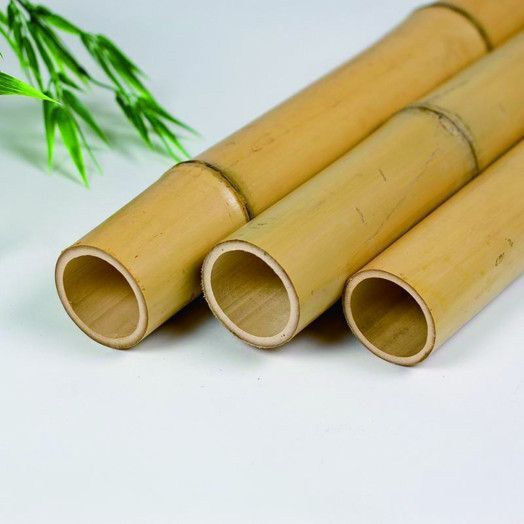 Showood Bamboo für Gartenzaun aus Bambus 4x4x300cm 1Stück