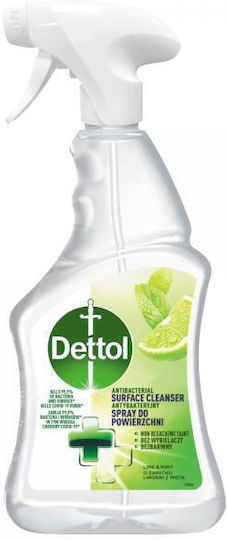 Dettol Antibacterial Cleaning Spray General Use 500ml