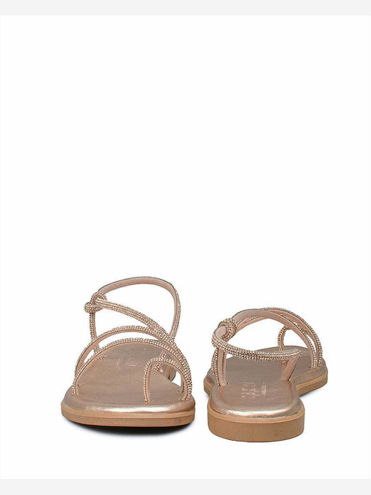Zakro Collection Zakro Collection