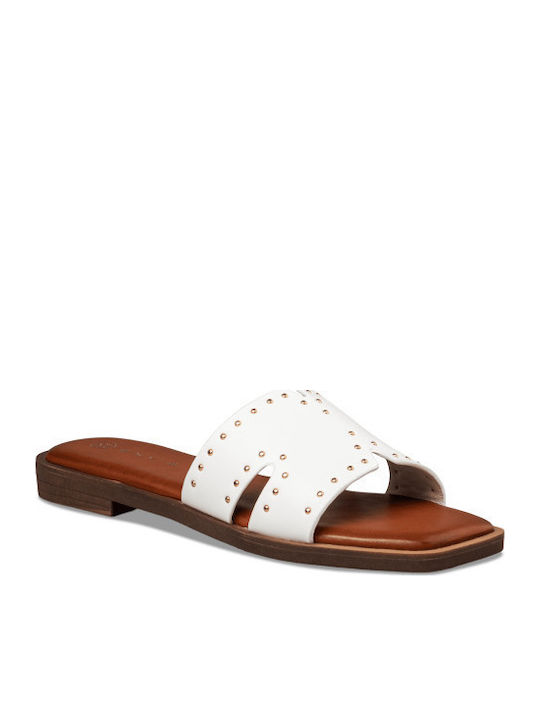 Envie Shoes Envie Shoes